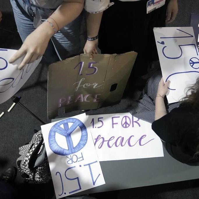 Success or COP-out: How do this year's climate talks rate?